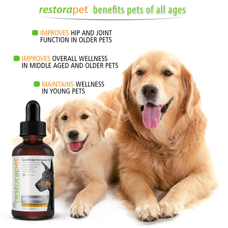 RestoraPet 1-Pack Dog & Cat Beef Liquid Multivitamin | Dog Arthritis Pain Relief | Hip & Joint Vitamins for Dogs - Anti Inflammatory Supplement for Dogs & Cats | Organic & Non-GMO, Vet Approved 1-Pack (2 oz / bottle) - BeesActive Australia