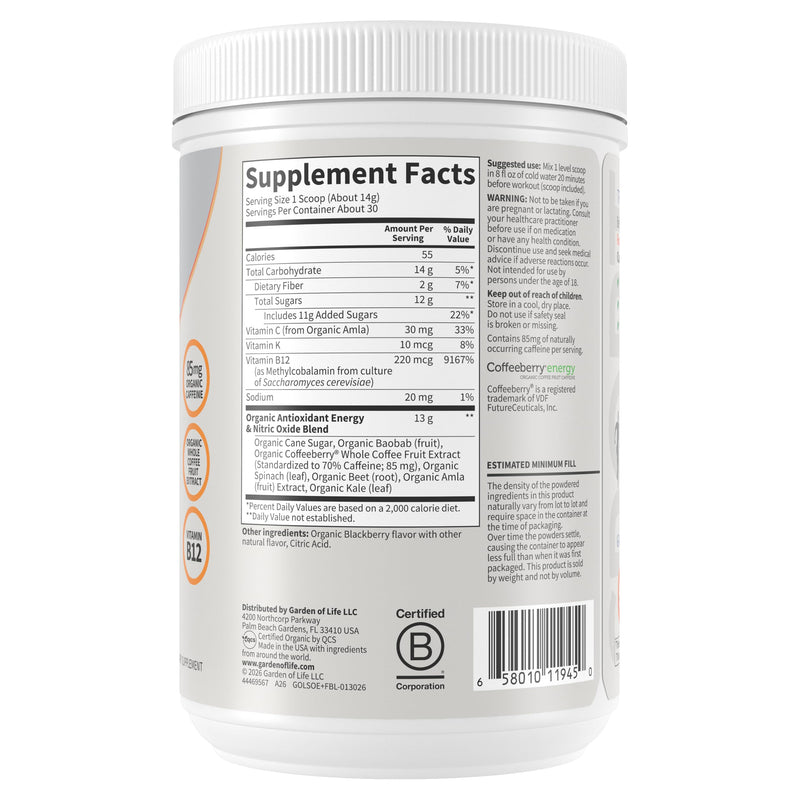 Garden of Life Sport Organic Plant Based Energy + Focus Clean Pre Workout Powder, with 85mg Caffeine, Natural No Booster, B12, Vegan, Gluten Free, Non-GMO, BlackBerry, 15.3 Oz 15.3 Ounce (Pack of 1)