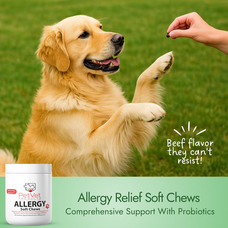 Pet Vet Allergy Relief Chews for Dogs (Beef Liver) – Itchy Skin Relief for Dog Allergies – Skin Irritation Treatment, Allergy Chews, Pet Probiotics – Dog Health