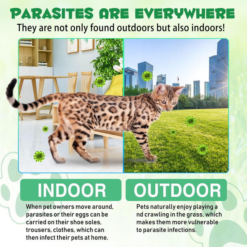 60ml Worm Treatment for Cats - Cat Worm Drops - Herbal Dewormer with Probitics - Improve Digestion, Immunity Boost - Anti-Parasite, Broad Spectrum Hookworms - Safe, Effective - BeesActive Australia