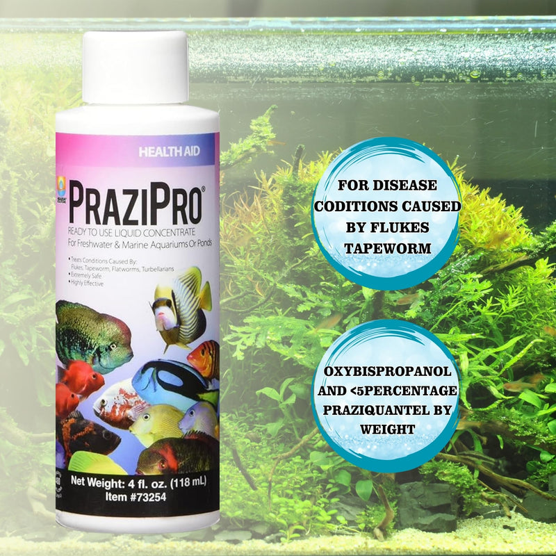 ICH X 16 fl oz, PraziPro 4 fl oz for Freshwater, Including Trinity Treats Microfiber Cleaning Cloth (ICH X for Freshwater Fish, PraziPro for Fish) - BeesActive Australia