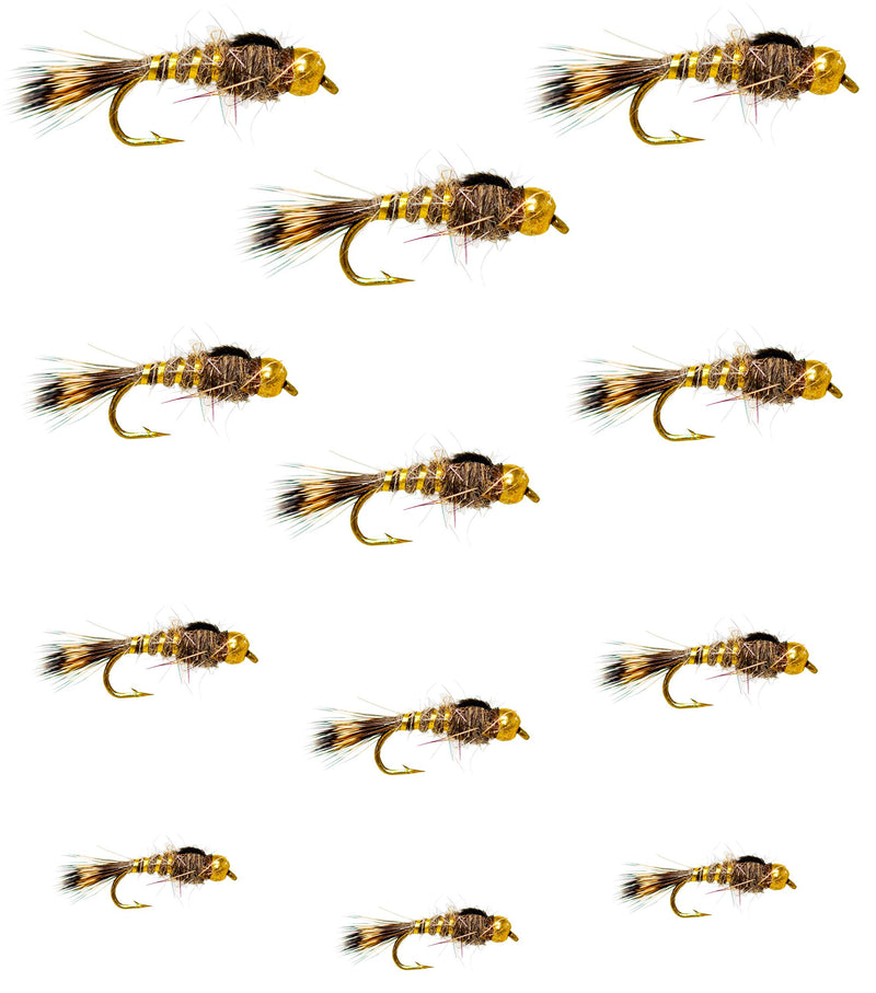 Every Season Trout Assortment Dry Flies/Nymph Flies/Attractor/Wet Flies for Trout Fly Fishing Flies Gold