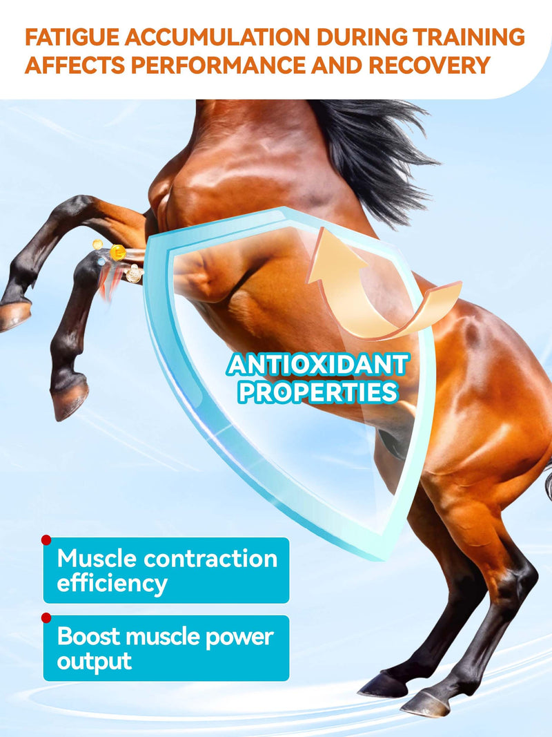 Natural Vitamin E & Selenium for Horses Muscle Build Support for Active Horses Equine Vitamin E Powder Supplement 100-Day Supply Big Tub