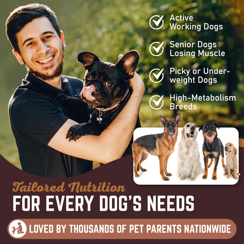 All American Canine Dog Weight Gainer Powder and Chews - High Calorie Food Supplement, Premium Quality Weight Gainer, Mass, Recovery, Appetite Stimulant