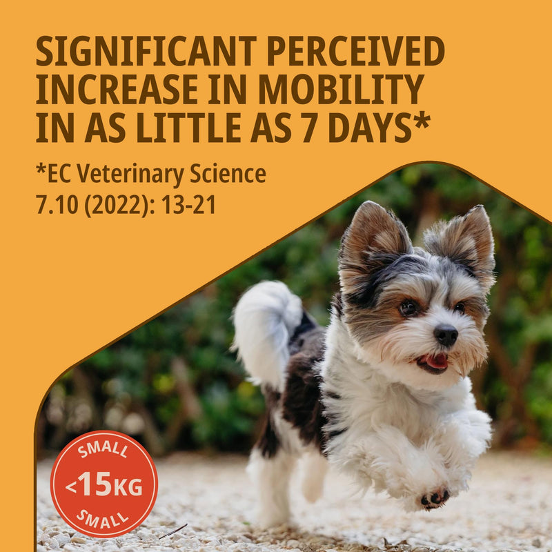 MOVOFLEX® Joint Supplement for Small Dogs <15kg | Supports Joints & Mobility | Fast-Acting Tasty Chews | 30 Chews