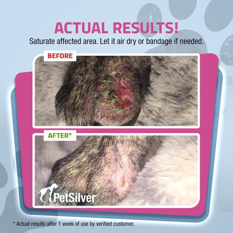 PetSilver - Wound & Skin Spray (4 fl oz) and Teeth & Gum Water Additive (12 fl oz) with Patented Chelated Silver - Wound, Hot Spot, Itch Spray - Natural Dental Additive for Cats and Dogs - Made in USA