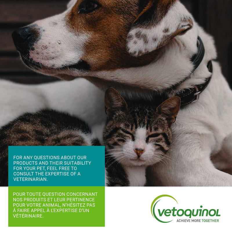Enisyl-F Oral Paste for Cats - 100 mL