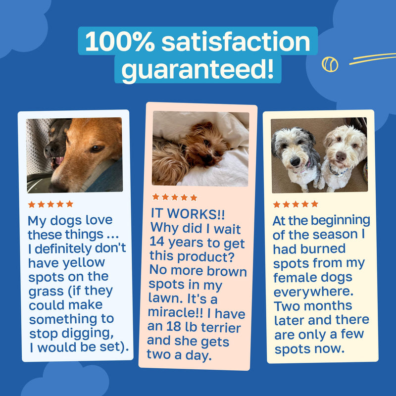 Happy Paws Lawn Saver Supplement, Dog Probiotics to Help Grass Stay Green & Prevent Lawn Burn, Digestive Health Support with Antioxidants & Fiber, Vegan Chicken Flavor, Non GMO, 100 Soft Chews 100 Count