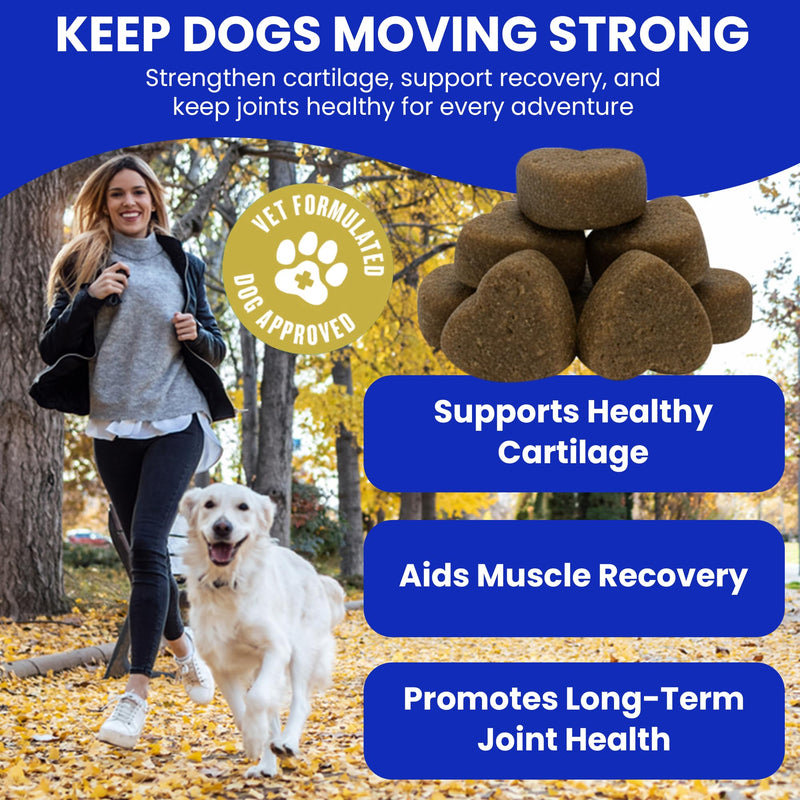 Hamiltons Hip & Joint Supplement for Dogs – 120 Soft Chews Treats with Glucosamine, Chondroitin, MSM & Green Lipped Mussel – Supports Mobility & Stiff Joints for Adult & Senior Dog– Beef Flavour