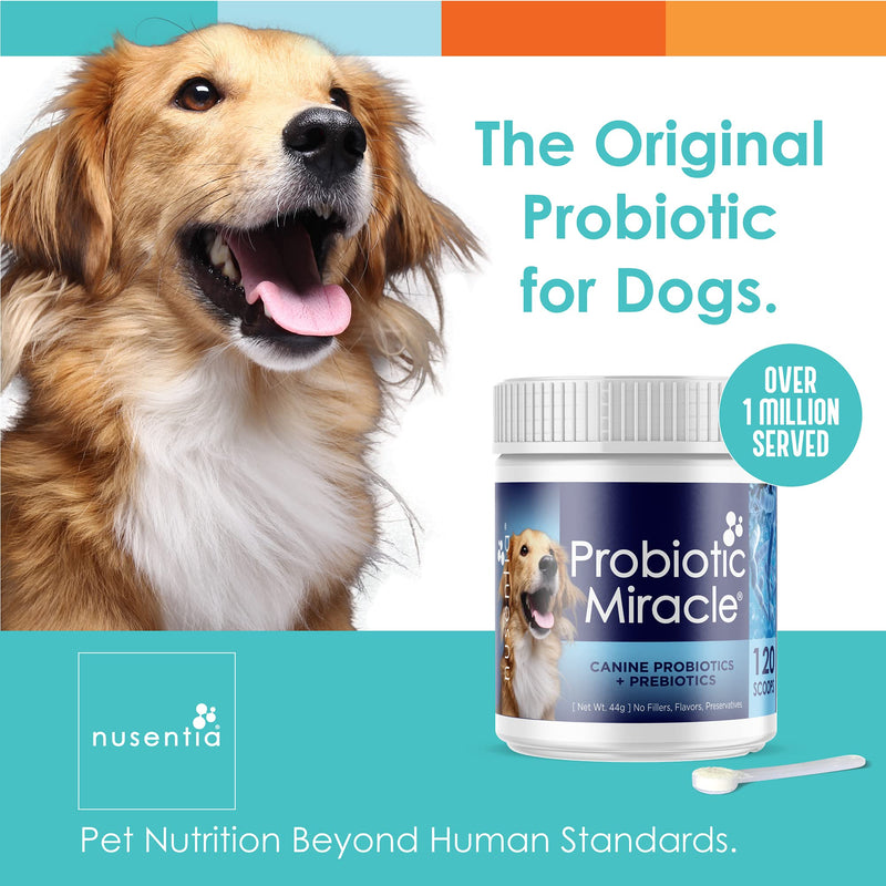 Probiotic Miracle® : Canine Probiotics + Prebiotics : Unflavoured : Concentrated Powder