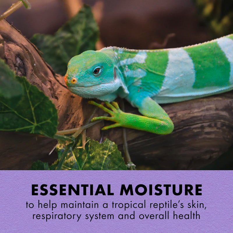 Zilla Tropical Mist Humidity Spray, Ideal for All Tropical Reptiles and Amphibians, Fortified with Aloe Vera 8 Fluid Ounces - PawsPlanet Australia
