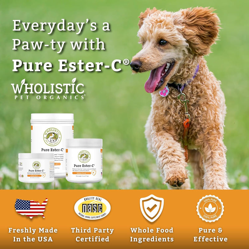 Allergy Relief & Immune Support Supplement for Dogs – Organic, Vitamin C Powder for Joint Mobility, UTI Relief and Overall Body Health for Puppies and Senior Dogs – 1000mg Ester C - BeesActive Australia