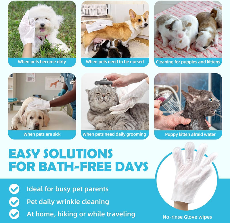 Pet Cleaning Glove Wipes for Dogs & Cats, Cleaning & Deodorizing Grooming Bathing Gloves, Nourish Cat Dog Fur Glove Wipes for Dry Cleaning, Daily Care and Travel No-Rinse 10PCS - BeesActive Australia