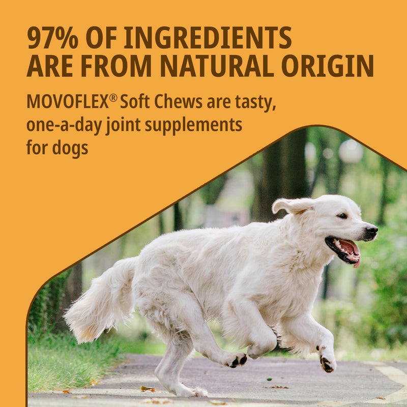 MOVOFLEX® Joint Supplement for Large Dogs >35kg | Supports Joints & Mobility| Fast-Acting Tasty chews | 30 Chews