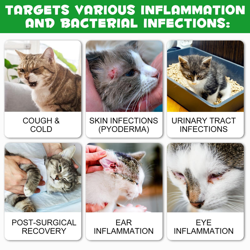 Antibiotics for Cats, Natural Antibiotic Drops Supports Immune & Allergy & Itch Relief, Vitamins Herbal Supplement, Pet Supplies Cats UTI Antibiotics, Chicken Flavor - 2 fl oz / 60ml