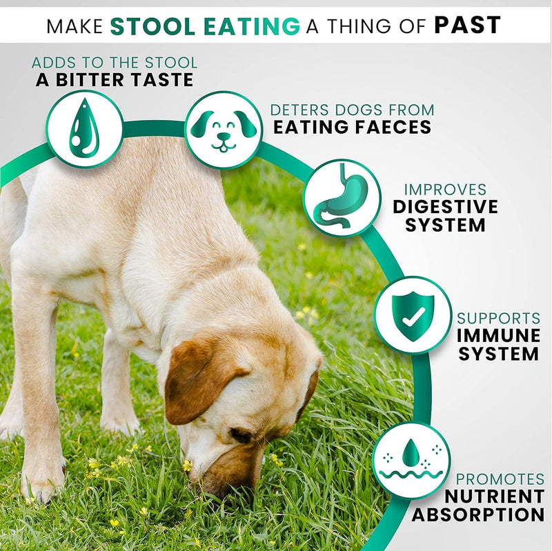Grateful Pawz No Poo Chews for Dogs - 170 Chews - Coprophagia Stool Eating Deterrent for Dogs Supplement - Prevent from Eating Poop - Probiotics & Digestive Enzymes - Advanced Strength - Made in USA