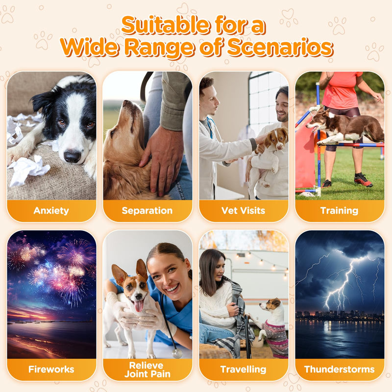 Dog Calming Chews 100 Count Large Particle,Anxiety Relief Treats for Dogs,Sleeping Aid Supplement,Aid with Separation, Barking, Stress Relief, Thunderstorms 100% Natural Ingredients,Chicken Flavor
