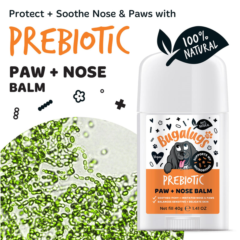 Bugalugs Prebiotic Dog nose balm, Natural lick safe Paw balm for dogs contains Pumpkin Powder for itchy skin and supports your dogs Microbiome (Prebiotic Paw & Nose Balm) Prebiotic Paw & Nose Balm