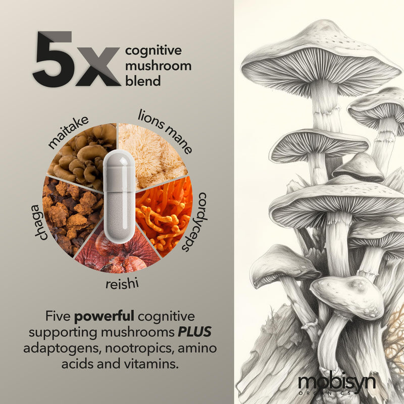 Lions Mane, Adaptogenic Mushrooms, Nootropics Brain Support Supplement, L-Theanine, Rhodiola Rosea, Guayusa Extract, B-Vitamins, Memory, Calming, Focus, Energy, Immunity, Gut Health, Organic, 30-Days 1