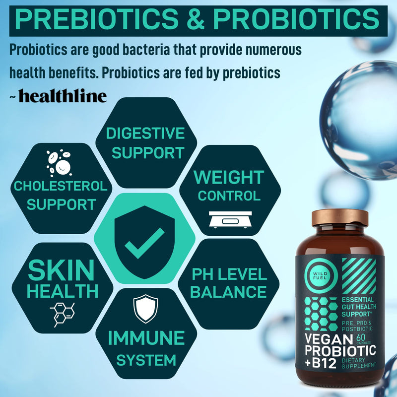 Vegan Probiotic Plus B12 & FOS - 22 Billion CFU Synbiotics Prebiotics and Probiotics for Digestive Health, IBS, Mood Support - B12 Pre Pro Post Biotics for Women & Men - 60 Gluten-Free Capsules Probiotic Unflavored