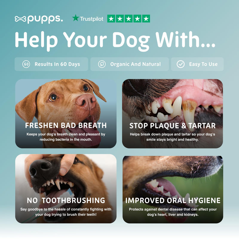 Pupps Dental Powder for Dogs 90g – Plaque & Tartar Support | Freshens Breath Naturally | Toothpaste & Toothbrush Alternative | Just Sprinkle on Food | Vet Approved, UK Made