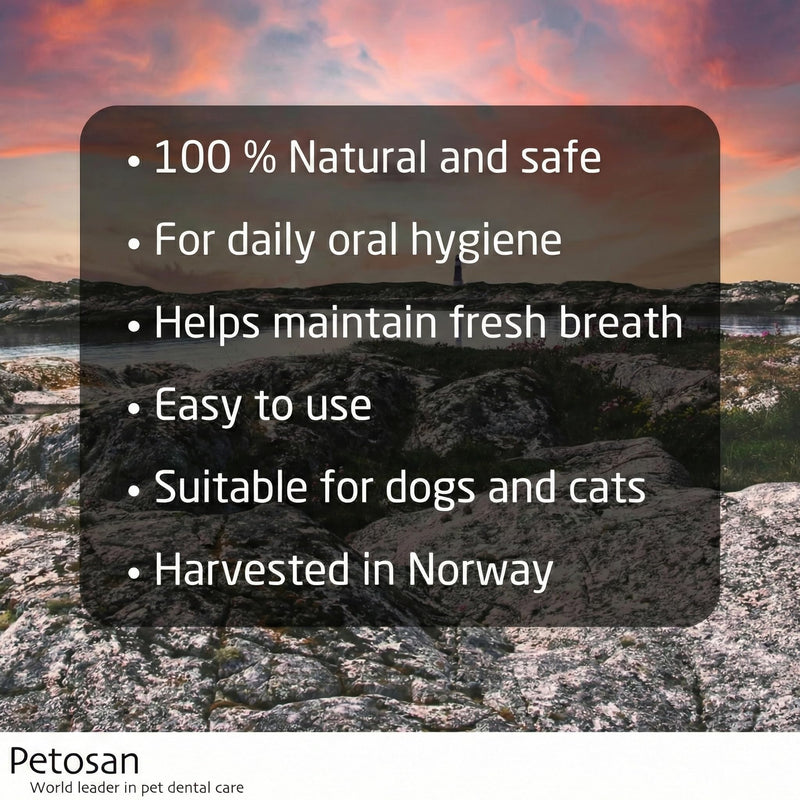 Petosan Plaque Control – Natural Seaweed Dental Powder for Dogs | Helps Reduce Plaque & Tartar, Supports Fresh Breath | Daily Teeth Cleaning; Grain-Free, No Added Sugar or Flavours - 75g