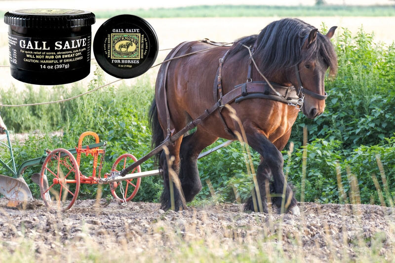 Bickmore Gall Salve Wound Cream For Horses 14oz - Quick Equine Relief of Sores, Abrasions, Cuts and Galls 14 Ounce - BeesActive Australia