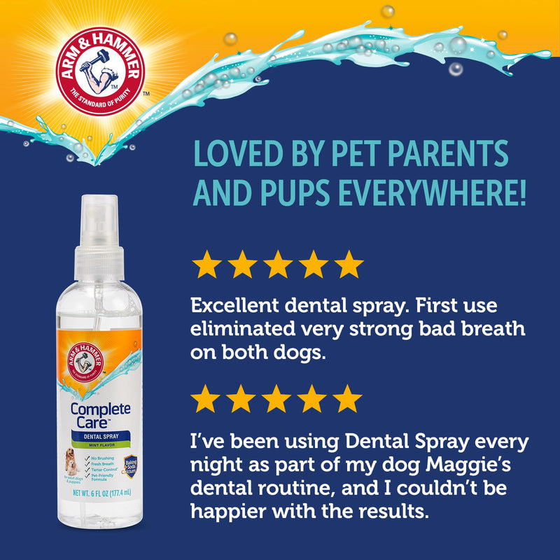 Arm & Hammer Complete Care Brushless Dental Kit for Dogs – Includes No-Brush Oral Gel + Dog Dental Spray, Fresh Breath, Tartar Control, Baking Soda Enhanced Dental Dog Supplies, 4 Fl Oz Each Dental Kit - Peanut Butter & Mint 4 Fl Oz (Pack of 2)