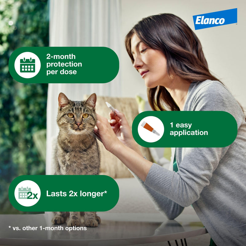 Advantage XD Large Cat Flea Prevention & Treatment For Cats over 9lbs. | 2-Topical Doses, 2-Months of Protection Per Dose 2 Pack - BeesActive Australia