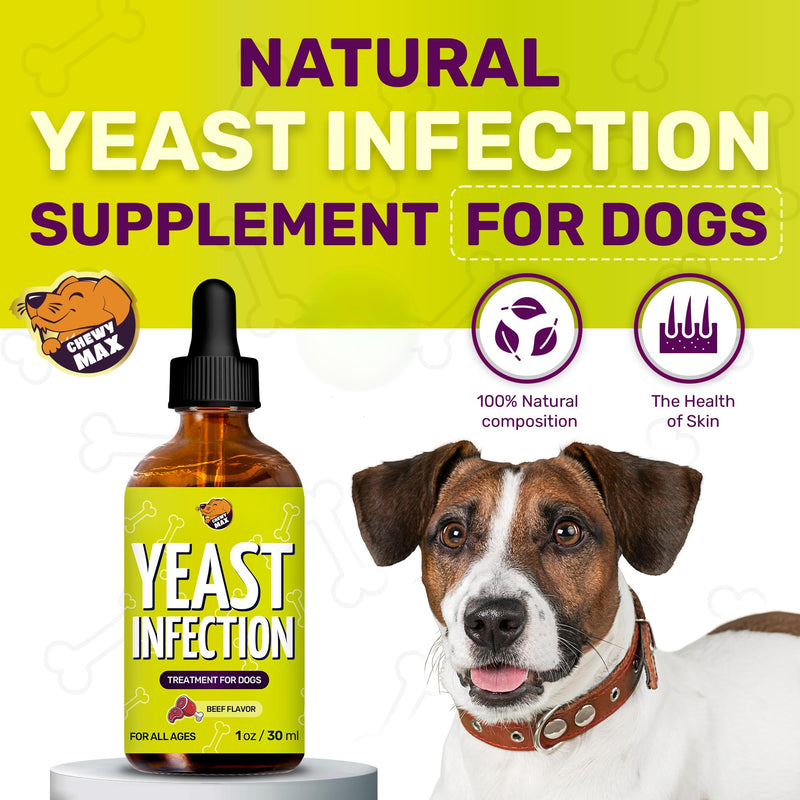 Yeast Infection Treatment for Dogs Helps with Allergies & Itching, and Ear Irritation | Dog Yeast Infection Treatment with Pau D'Arco, Dandelion, Ginger | For Puppies & Adult Ones | Beef Flavor | 1 oz