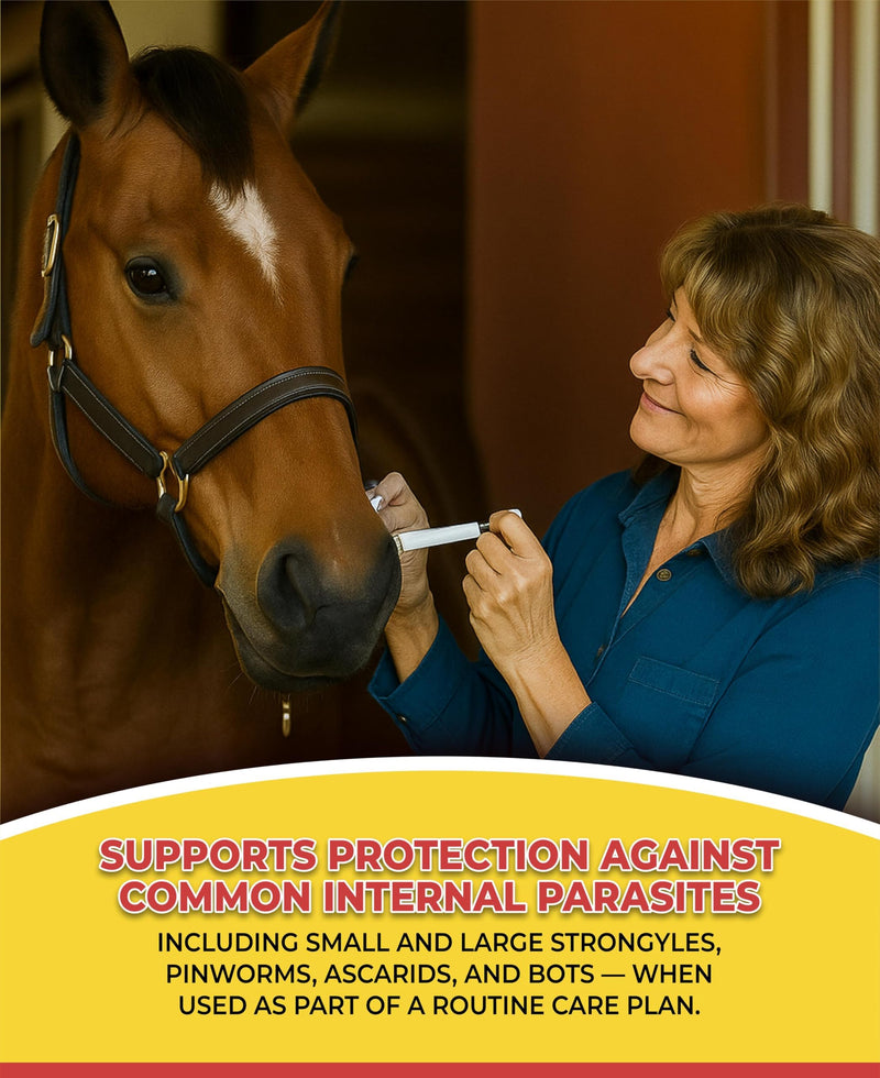 Horse Paste Gel 1.87% – Apple Flavored Oral Syringes – 6.08g Each (2-Pack) – Adjustable Weight Markings – for Equine Use 2