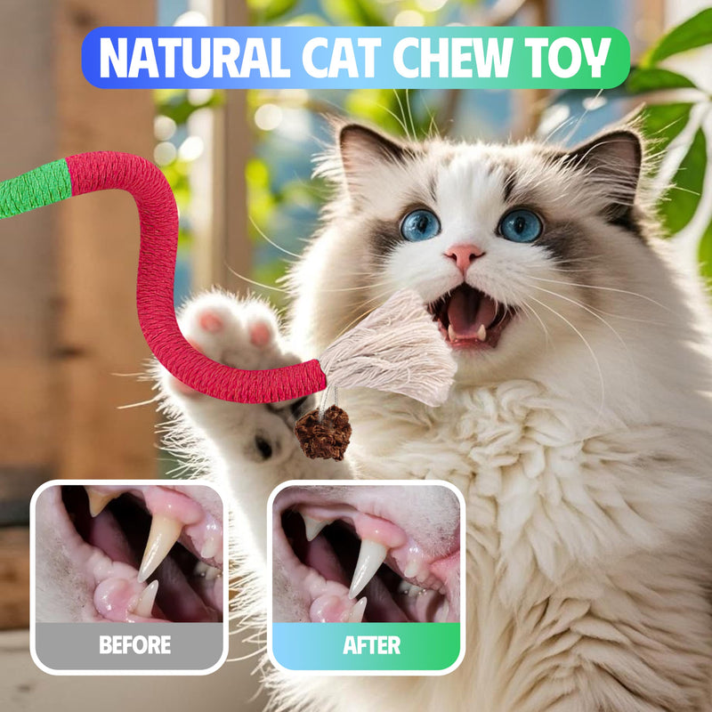 4 Pcs Cat & Kitten Chew Toy, Cat Toys Chew Ropes and Silvervine Cat Chew Sticks with Refillable Natural Catnip Bag for Teeth Cleaning, Safe Interactive Cat Toys for Indoor Cats 4 Pack - BeesActive Australia