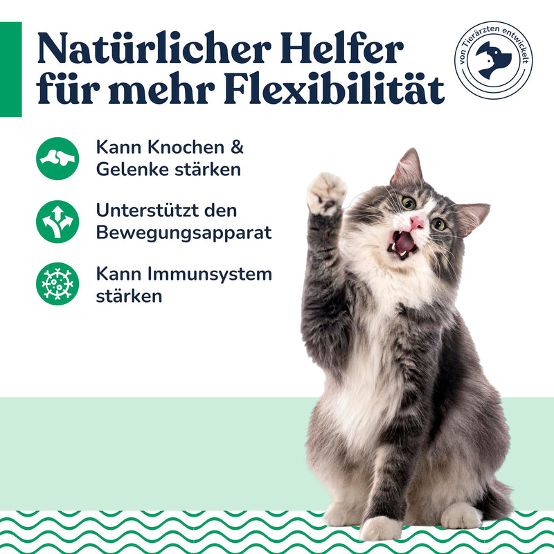 felmo bone and joint paste for cats (100g) promotes flexibility and supports your cat's freedom of movement through high-dose active components without added sugar - BeesActive Australia