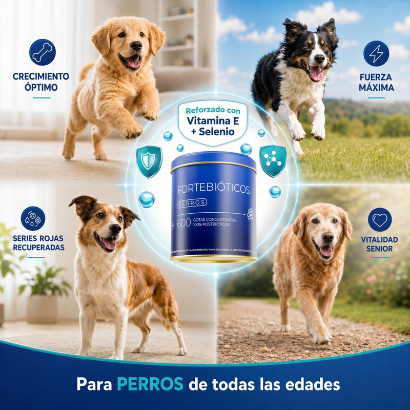Fortebiotic for dogs 600 drops 30ml