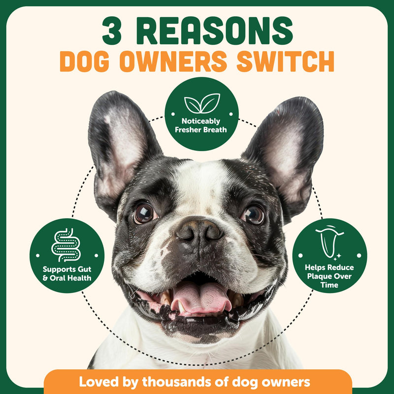 Plaque Off Powder for Dogs | Dogs Dental Powder for Teeth Cleaning, & Tartar Removal – Seaweed Plaque Remover with Probiotics for Gut Health & Fresh Breath – Up to 150 Days Supply