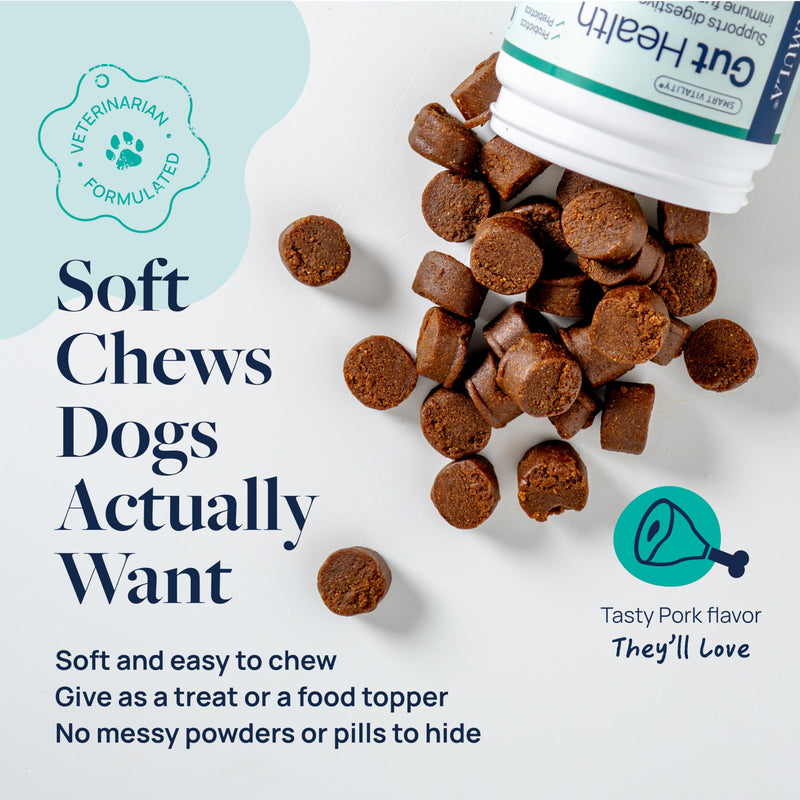 Veterinary Formula Gut Health Supplement for Dogs – Vet-Formulated Probiotic Chews with Digestive Enzymes & Fiber – Smart Vitality Supports Digestive Health, Gut Balance & Stool Quality, 60 Soft Chews 60 ct