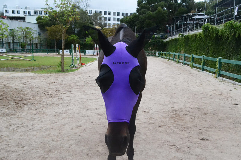 Super Comfort Horse Fly Mask Elasticity Fly Mask with Ears UV Protection for Horse(XL,Purple) purple XL - BeesActive Australia
