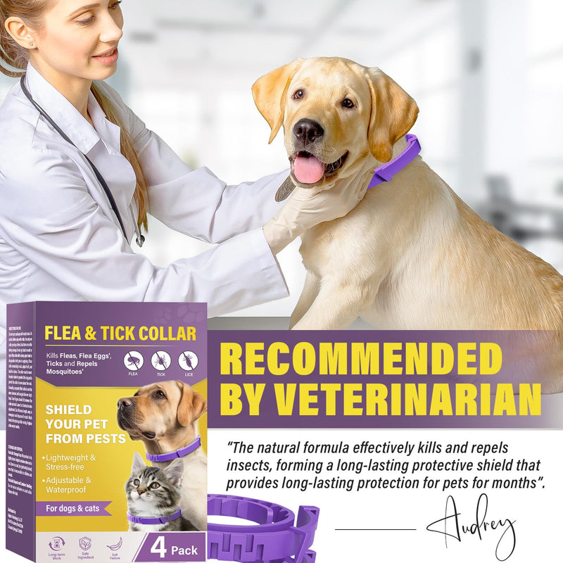 Dog collar, cute cat collar, against ticks, fleas and mosquitoes, waterproof animal collar, one year long-term protection - BeesActive Australia