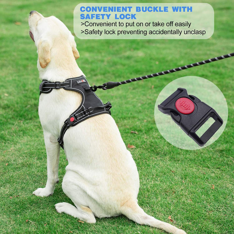 No Pull Dog Harness Adjustable Reflective Oxford Easy Control Medium Large Harness with A Free Heavy Duty 5ft Leash (L (Neck: 18"-25.5", Chest: 24.5"-33"), Purple) Purple Harness+Leash - BeesActive Australia