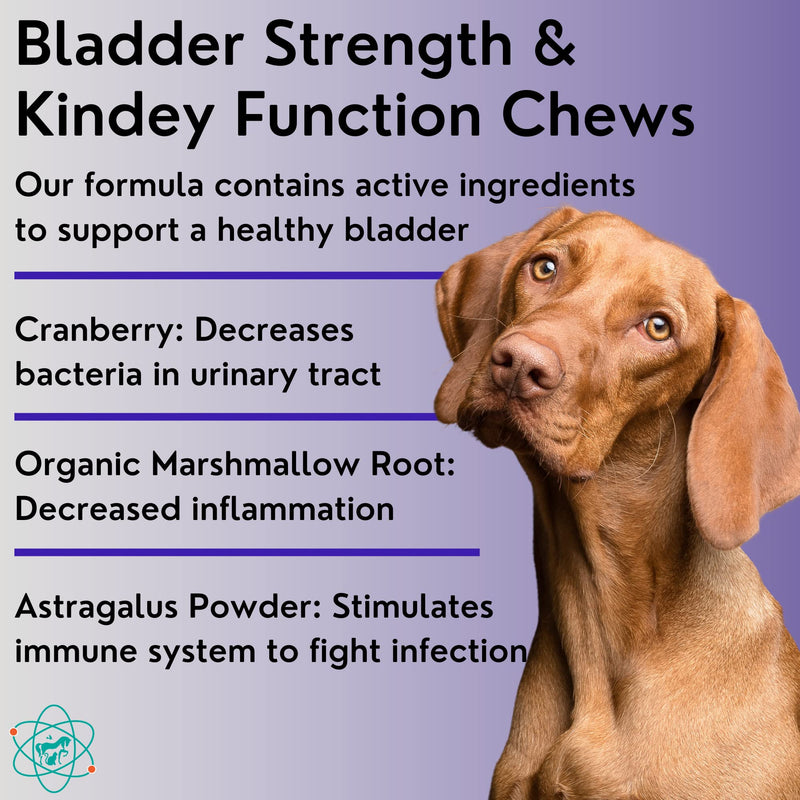 Dog Weight Gainer Powder and Bladder Strength Chews