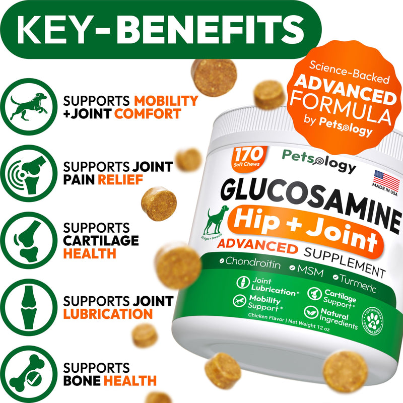 Glucosamine for Dogs - Hip and Joint Supplement for Dogs - 170 Mobility Chews - Glucosamine Chondroitin - MSM - Turmeric - Joint Pain Relief - Advanced Support for Dog Health - Made in USA 170 Chews Glucosamine Chews