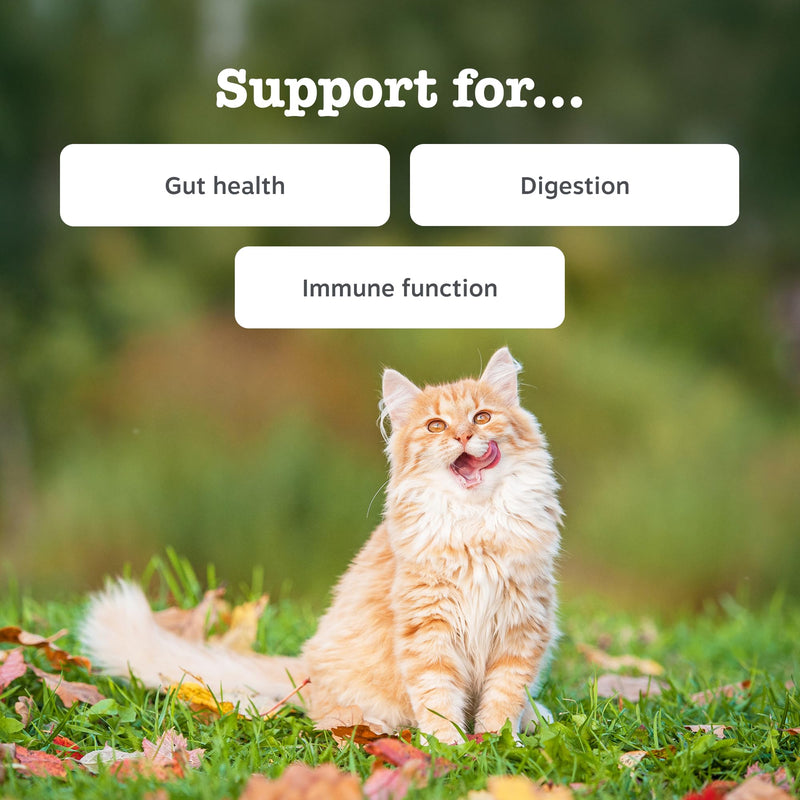 Zesty Paws Digestion & Prebiotics Paste for Cats | Helps Gut Health, Digestive Function & Immune Support | Contains Algal Oil, Postbiotics, Inulin, Vitamins C & E | Real Fish Flavour | 75g 75ml