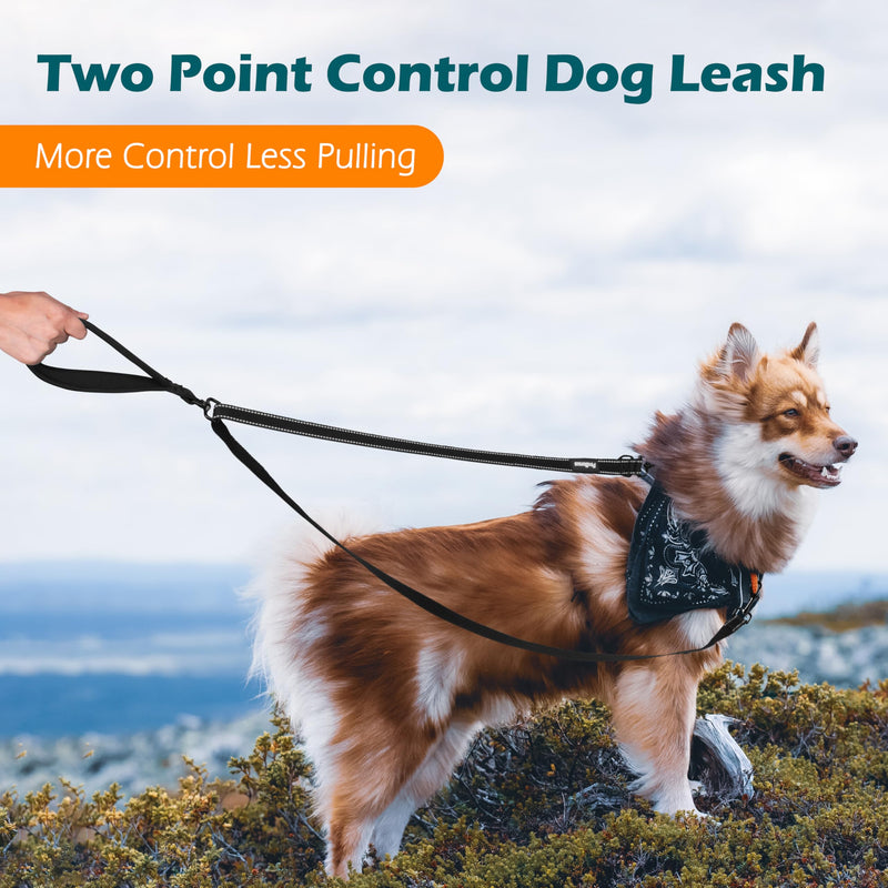 PetBonus Two Point Control Dog Leash, Works with No Pull Harnesses, No Tangle Dog Training Leashes, No Pull Padded and Reflective Walking Lead, Converts to Single Leash for Medium Large Dogs Black - BeesActive Australia