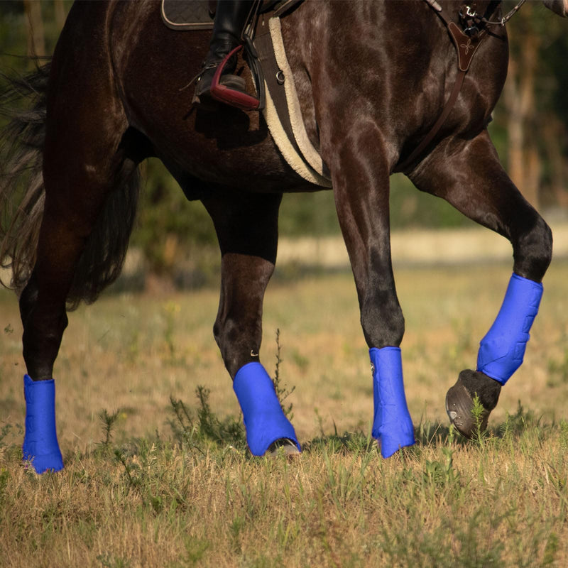 Harrison Howard Horse Sport Medicine Front Shock-Absorbing Boots All-Round Lower Limb Protection & Support Sport Boots Athletic Boots Perfect for Endurance Training and Performance Aquamarine L Large - BeesActive Australia