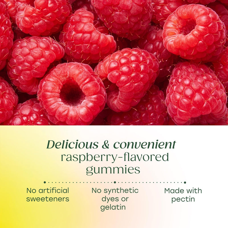 MegaFood Probiotic Prebiotic & Postbiotic Gummies, Raspberry, 60 Gummies | 3-in-1 Digestion Support and Gut Health, Probiotics for Women and Men, Prebiotic Fiber Gummies for Adults, Vegan, 30 Servings