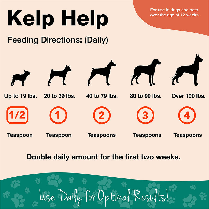 NaturVet Kelp Help Plus Omegas Skin and Coat Supplement for Dogs and Cats, Powder, Made in The USA with Globally Source Ingredients 1 Pound 1 Pound (Pack of 1) - PawsPlanet Australia