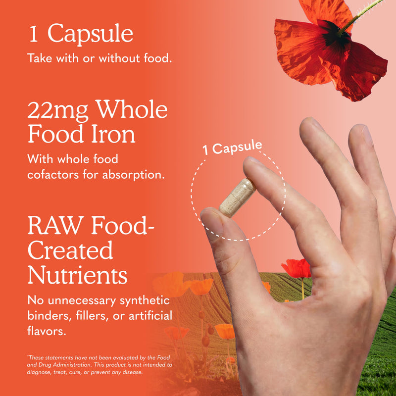 Garden of Life Vitamin Code Raw Iron Supplement - 30 Vegan Capsules, 22mg Once Daily Iron, Vitamins C, B12, Folate, Fruit, Veggies & Probiotics, Iron Supplements for Women, Energy & Anemia Support 1 Count (Pack of 30) Mineral Supplement