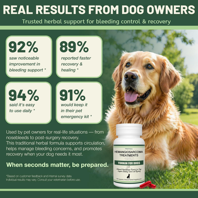 Quick Stop Bleeding for Dogs, Natural Yunnan Sanqi Capsules for Hemangiosarcoma, Hemoabdomen, Pericardial Effusion, Cancer Bleeding, Severe Bruising, Ulcer-Related Bleeding, Bloody Stools-90 Capsules