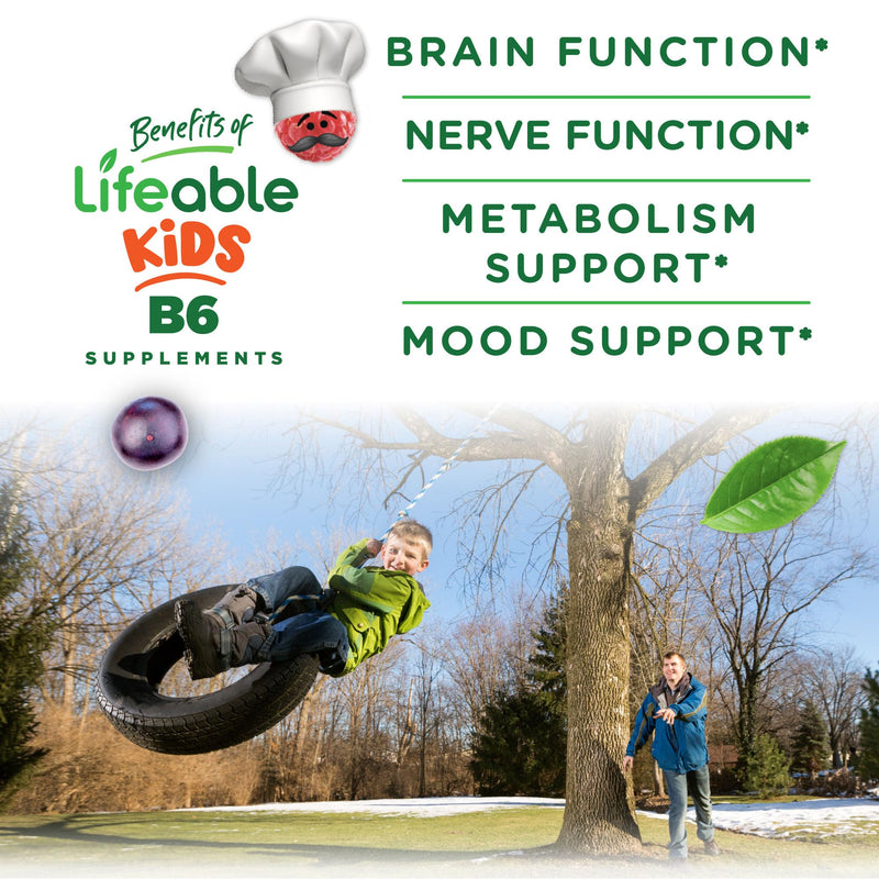 Lifeable Vitamin B6 Gummies for Kids | Great Tasting B6 Vitamins 50mg | Vegan Non-GMO Gluten Free | for Nerve Function Support | 60 Gummies (Pack of 2) 60 Count (Pack of 2)