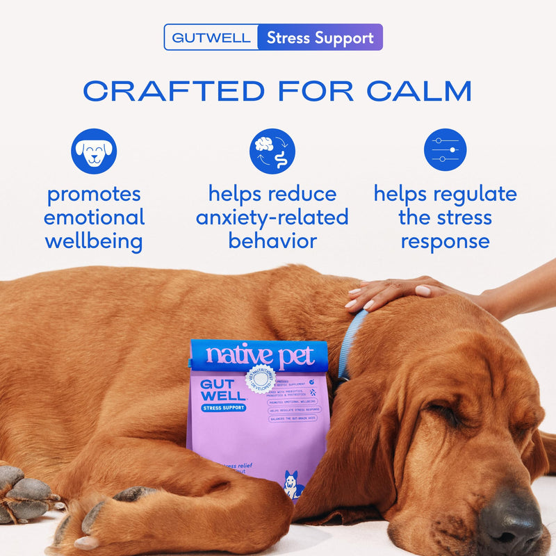 Native Pet Stress Support & Multivitamin Bundle: GutWell Stress Support - Dog Anxiety Relief & Dog Vitamins & Supplements - 11-in-1 Multivitamin Powder Food Topper for Overall Health - 60 Scoops
